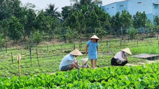 Cần Thơ: Phát triển du lịch nông nghiệp gắn với làng nghề