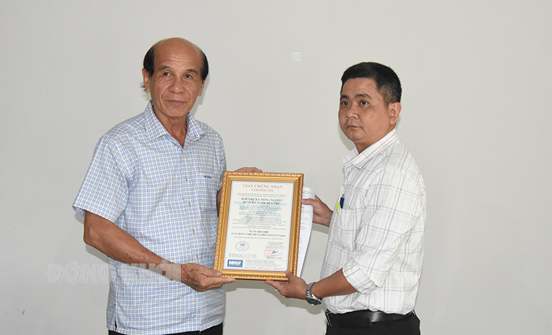Phó chi cục Trưởng Chi cục Phát triển nông thôn Phan Văn Trạng trao giấy chứng nhận đạt chuẩn HACCP cho Hợp tác xã nông nghiệp Bưởi da xanh Bến Tre.