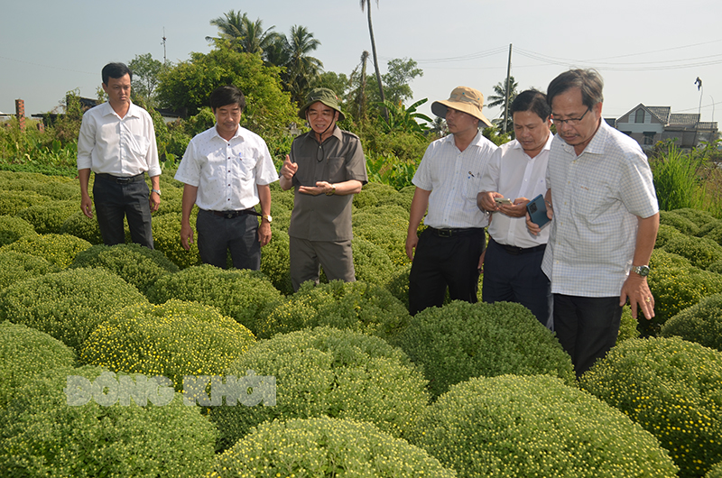 Chủ tịch UBND tỉnh Trần Ngọc Tam khảo sát làng sản xuất cúc mâm sôi xã Long Thới