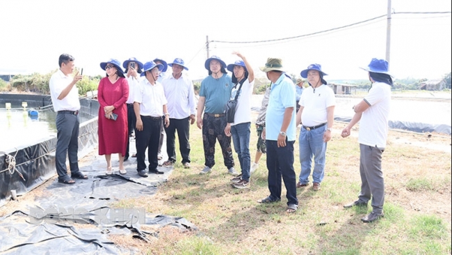 Bến Tre: Đoàn doanh nghiệp Trung Quốc đến khảo sát vùng nguyên liệu nông sản