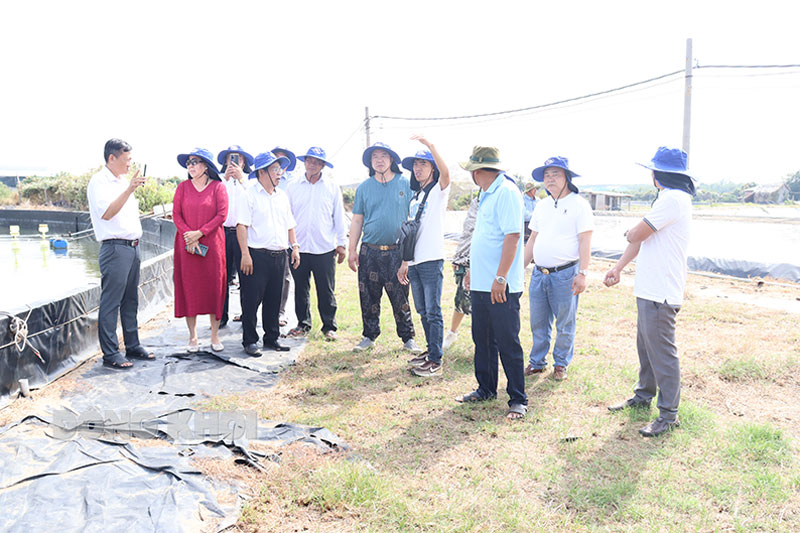 Đoàn tham quan và làm việc tại cơ sở nuôi tôm công nghệ cao của anh Đặng Văn Bảy, xã Thạnh Phong huyện Thạnh Phú.