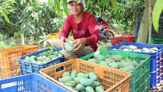 An Giang bứt phá, tăng tốc phát triển kinh tế