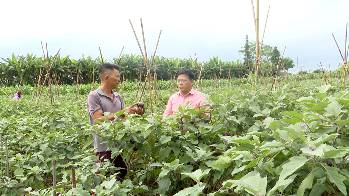 Hà Giang: Quyết Tiến chuyển mình mạnh mẽ