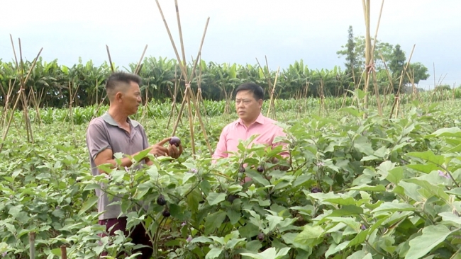 Hà Giang: Quyết Tiến chuyển mình mạnh mẽ