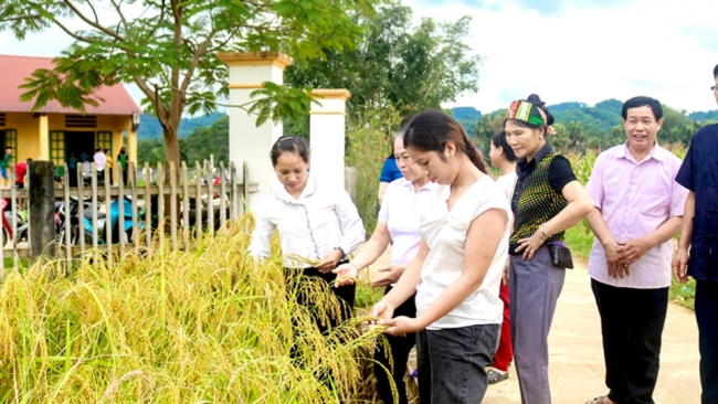 Hà Giang: Sức mạnh đoàn kết trong phong trào “bốn tốt” ở Quang Bình