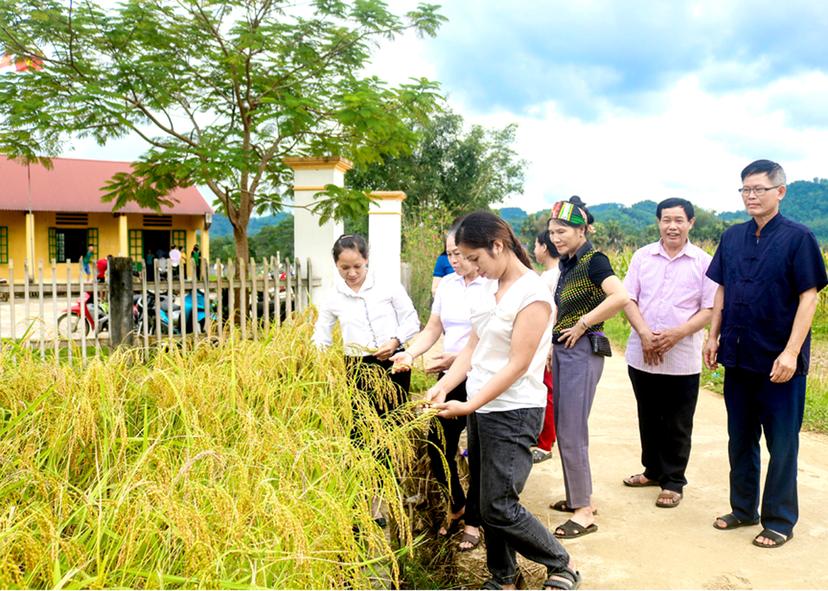 Hà Giang: Sức mạnh đoàn kết trong phong trào “bốn tốt” ở Quang Bình