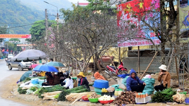 Hương sắc biên cương