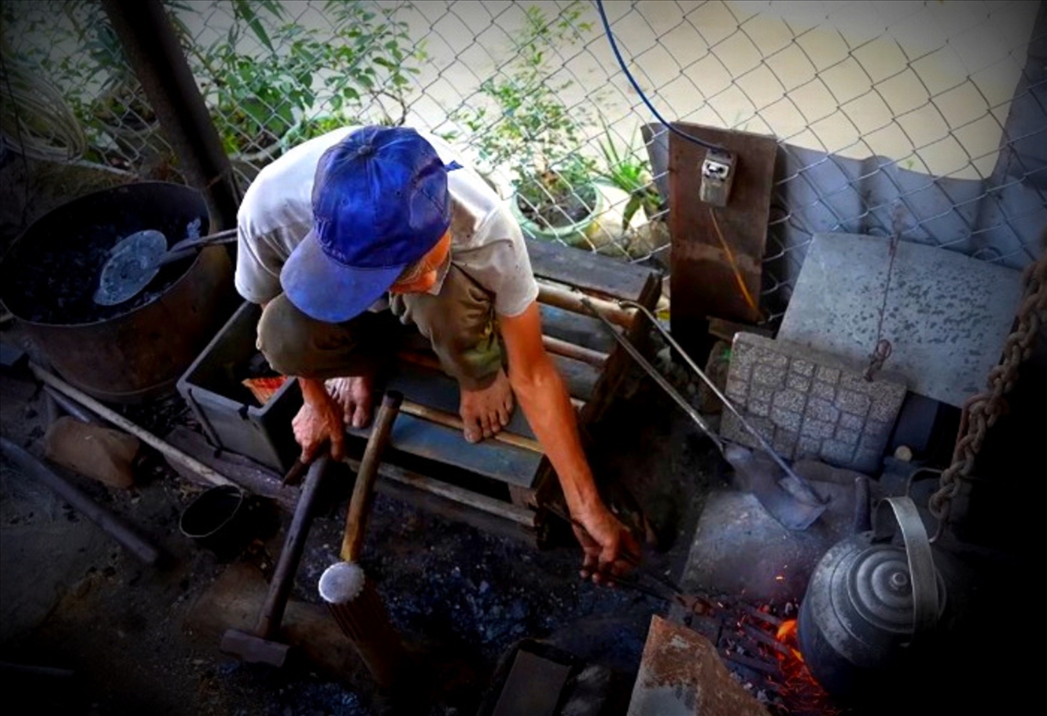 Màu hoa lửa chênh chao