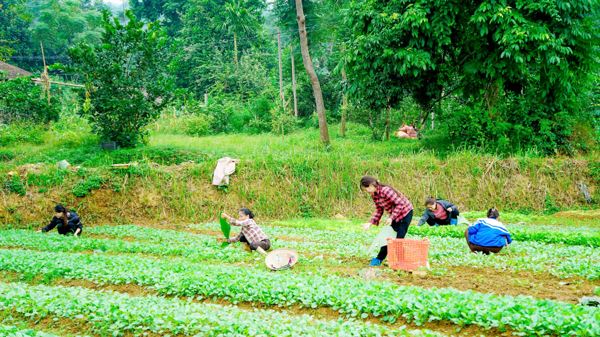 Hà Giang: Điểm sáng về sự lãnh đạo của Đảng trong phát triển kinh tế