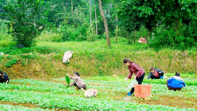 Hà Giang: Điểm sáng về sự lãnh đạo của Đảng trong phát triển kinh tế