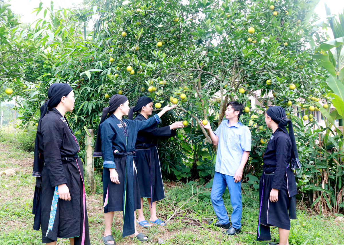 Hà Giang: Điểm sáng về sự lãnh đạo của Đảng trong phát triển kinh tế