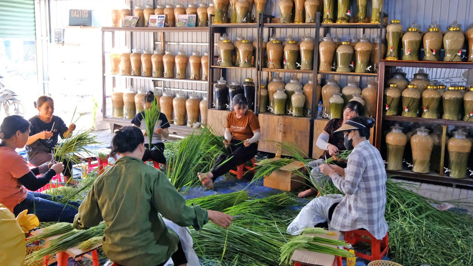 Lâm Đồng: Rộn ràng mùa thu hoạch nếp quýt, làm rượu đòng đòng