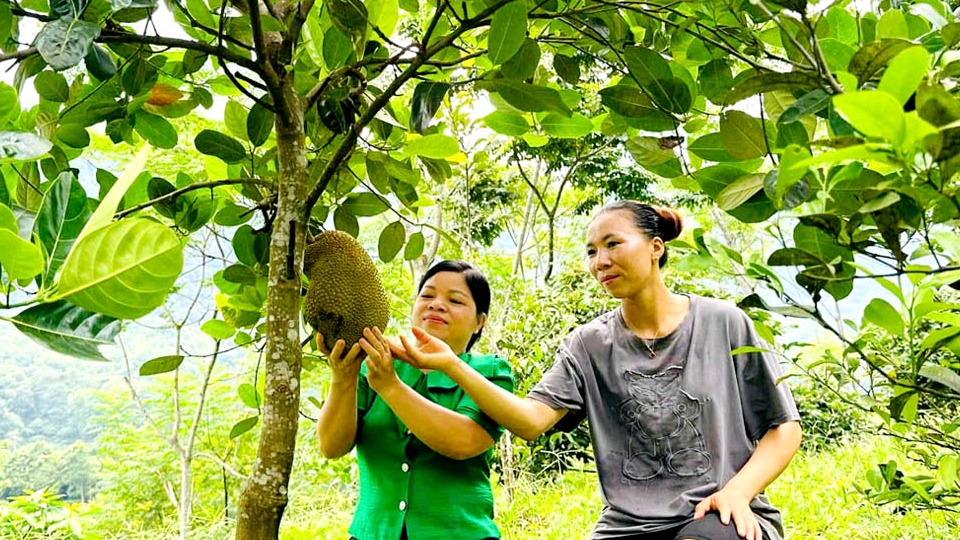 Hà Giang: Vị Xuyên tích cực hỗ trợ phụ nữ phát triển kinh tế