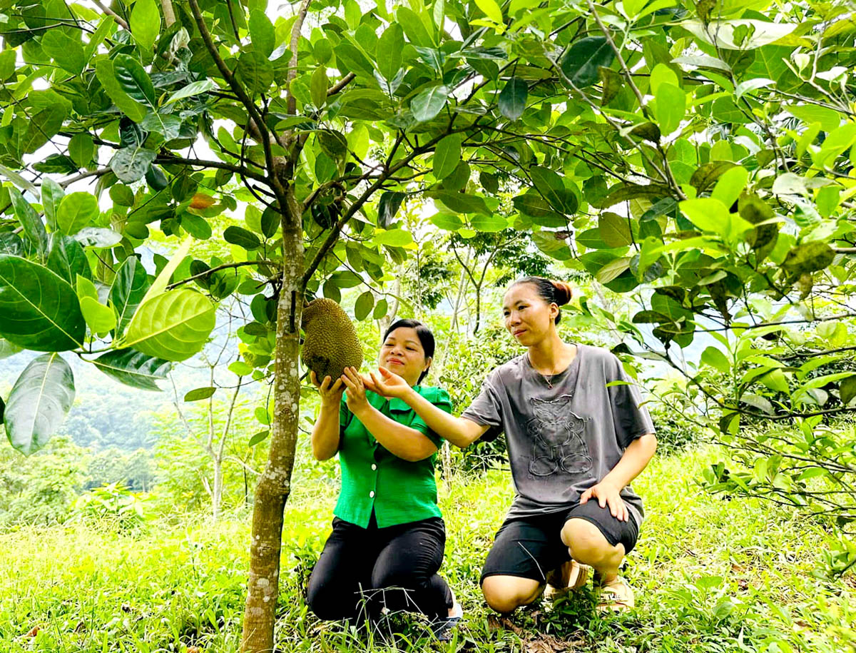 Hà Giang: Vị Xuyên tích cực hỗ trợ phụ nữ phát triển kinh tế