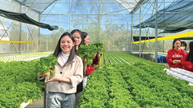 Lâm Đồng: Độc đáo tour du lịch khám phá học đường “Từ nông trại đến bàn ăn”