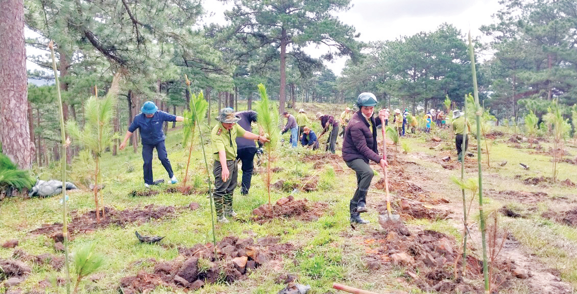 Khánh Hòa: Dệt nên một tương lai xanh