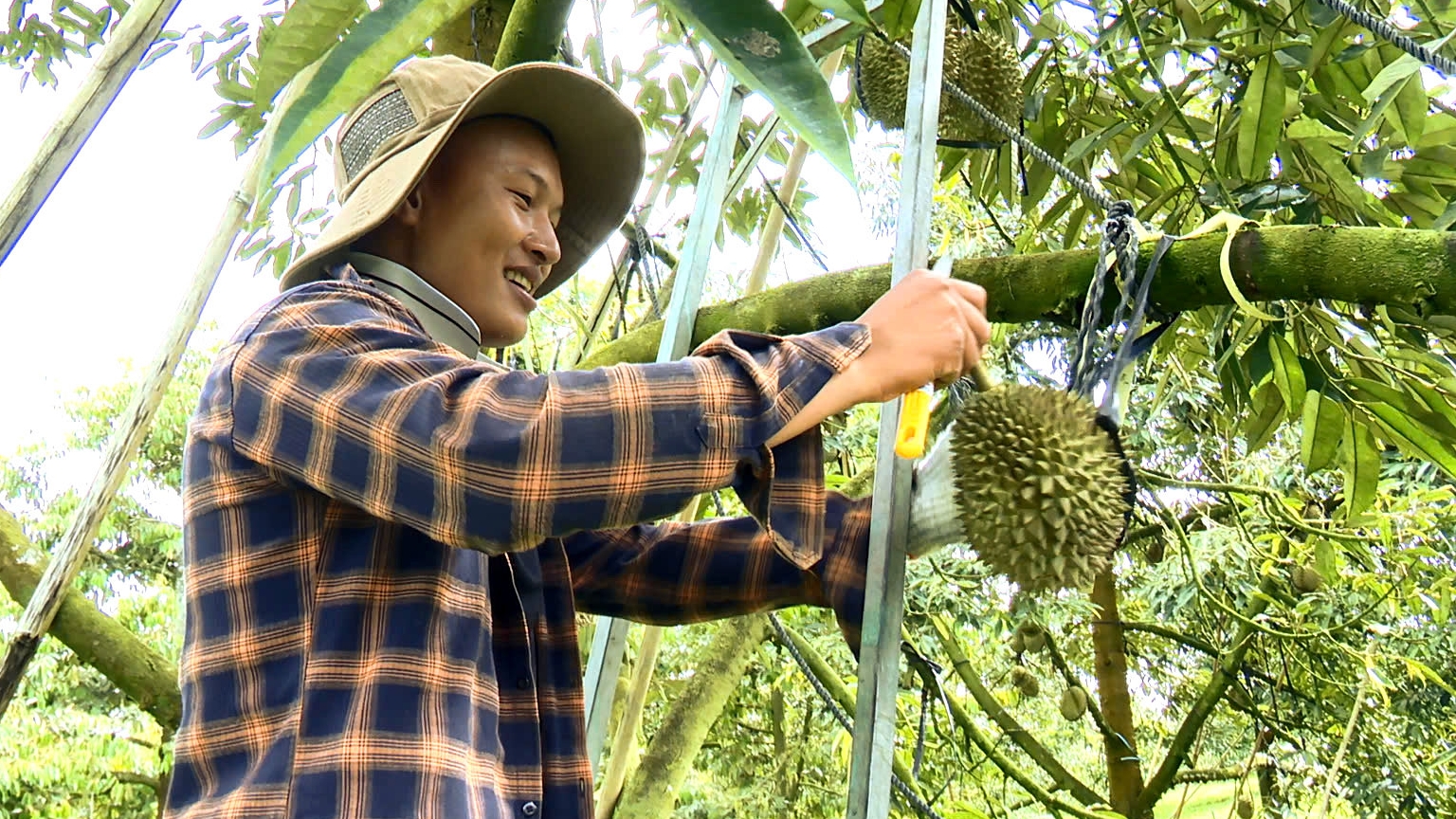 Lâm Đồng: Khởi sắc vùng đất khó