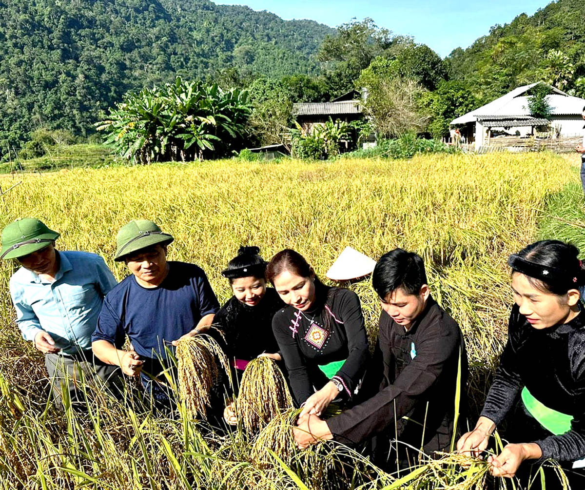 Hà Giang: Xuân thắm nơi mảnh đất có “địa chỉ đỏ”