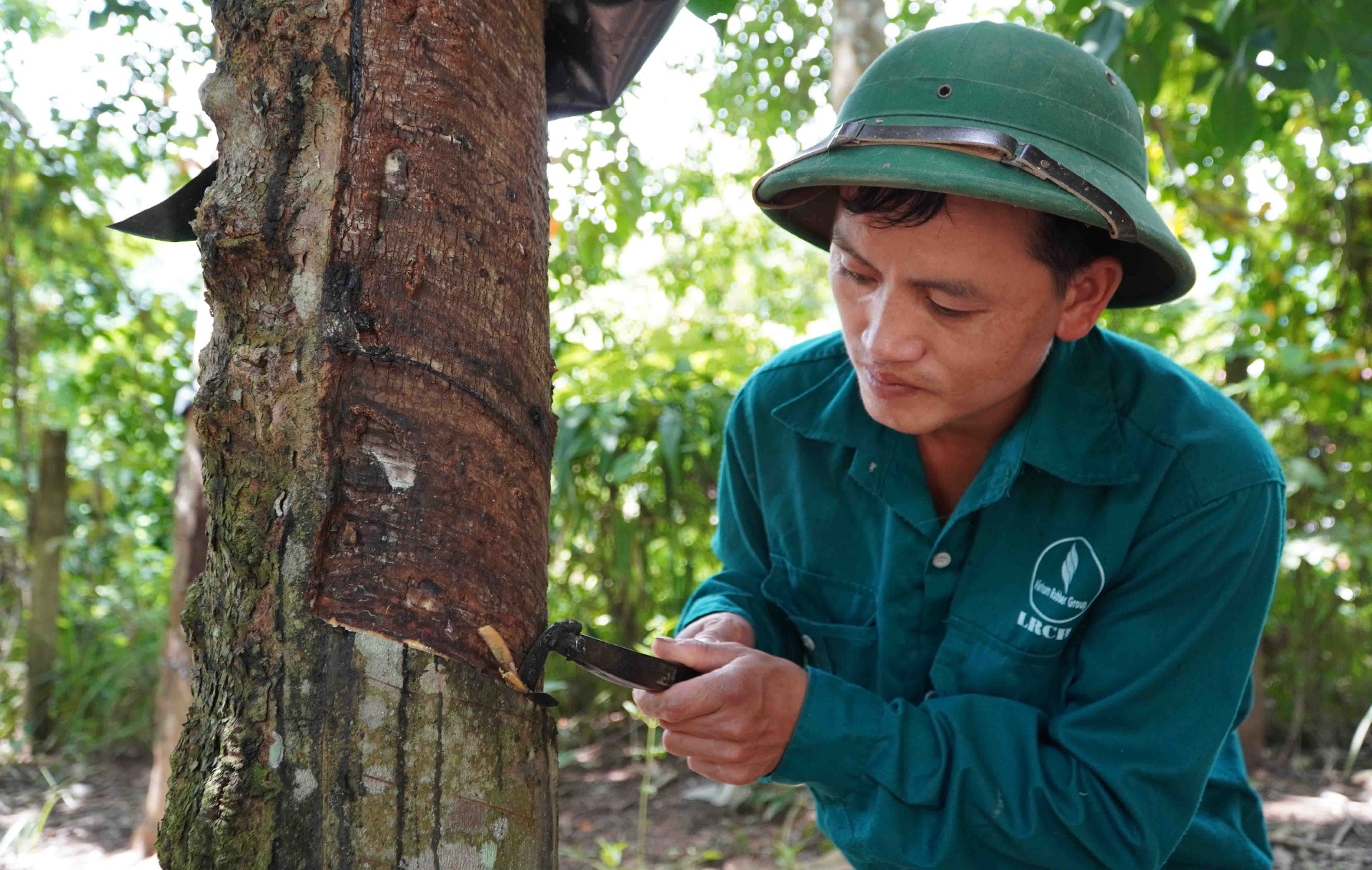 Lai Châu: Sông Đà vào xuân