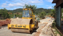 Lâm Đồng: Sắc xuân vùng căn cứ cách mạng