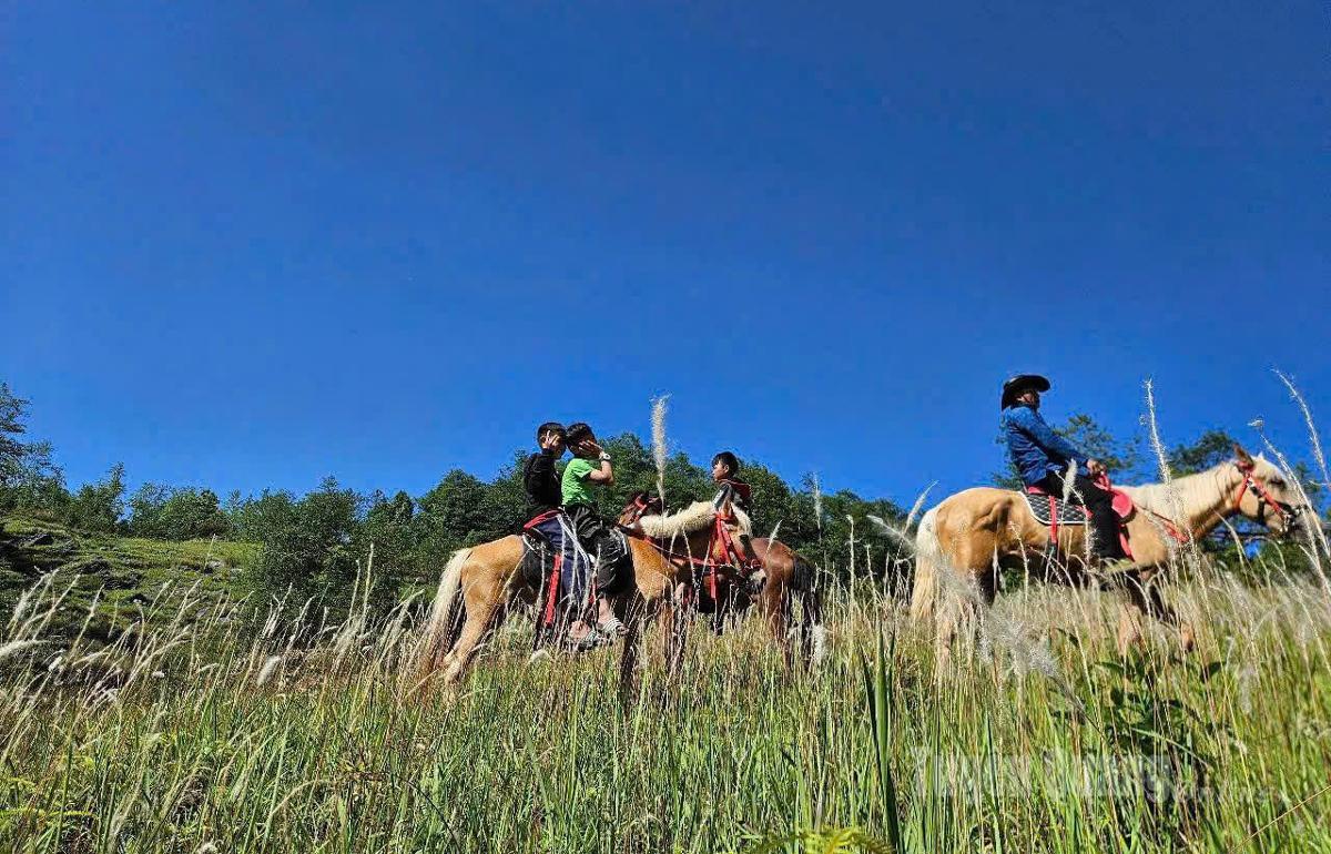 Tuyên Quang: Bí thư Tỉnh ủy Hầu A Lềnh dự lễ ra mắt sản phẩm du lịch mới tại xã Lũng Cú