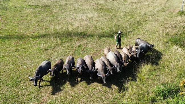 Lâm Đồng: “Của để dành” ở Tà Năng