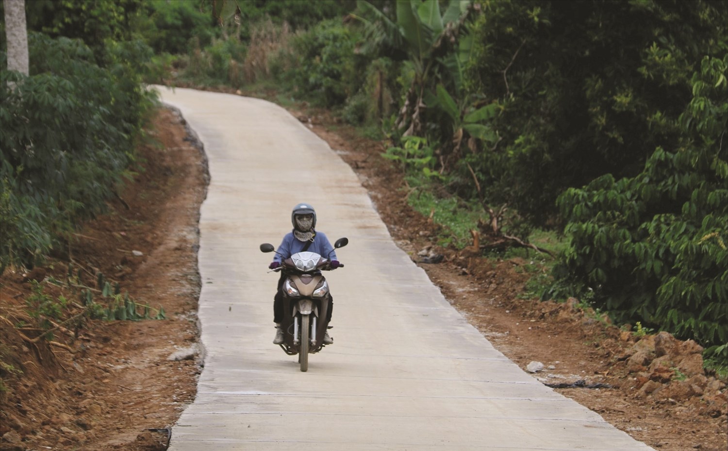 Bon làng bừng sức sống
