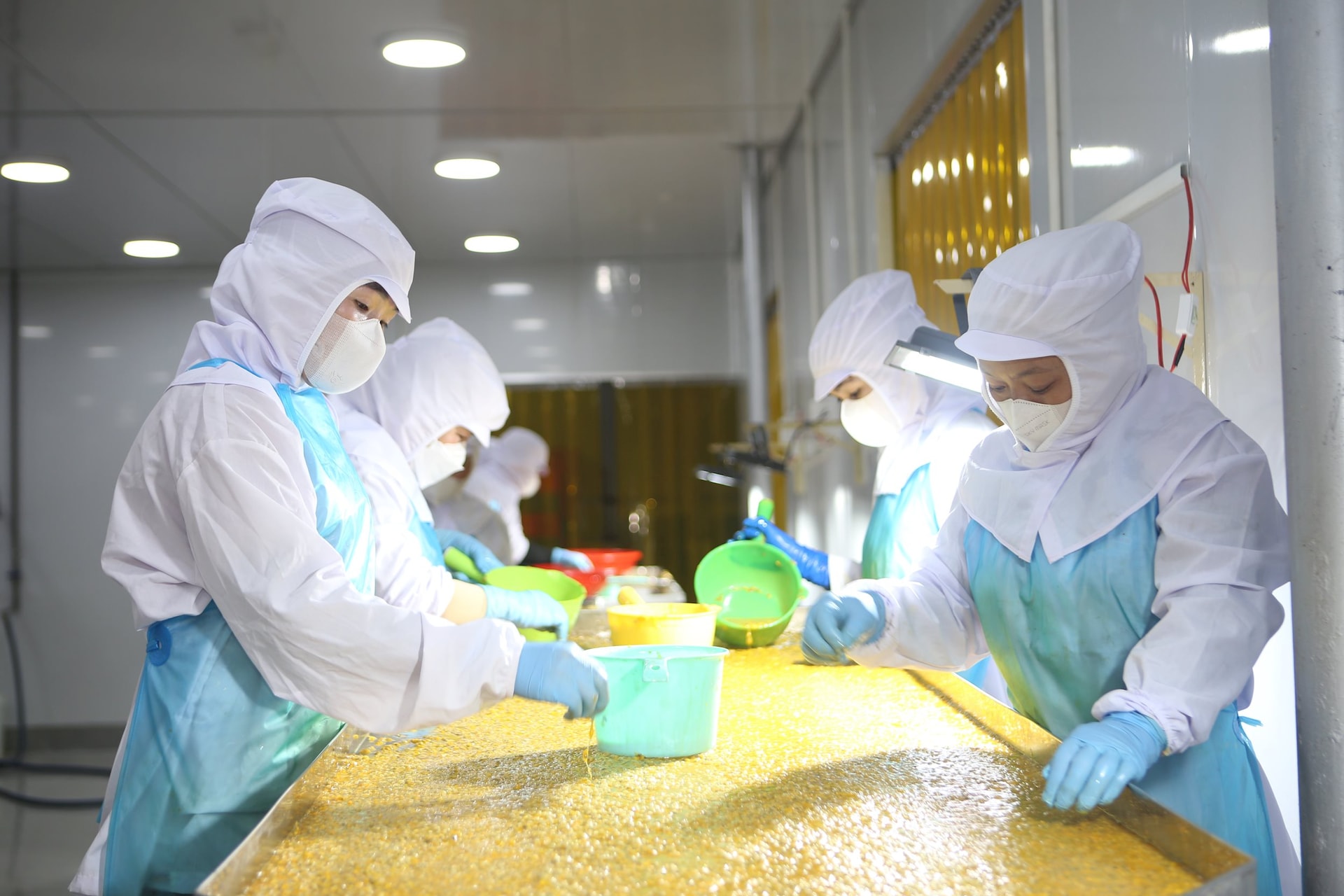 Lâm Đồng phát triển kinh tế tư nhân trong giai đoạn mới