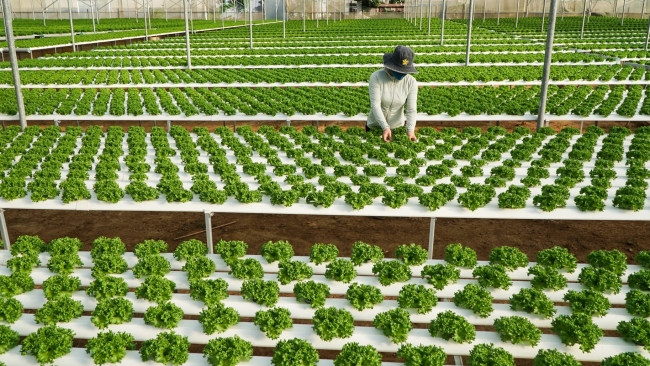 Lâm Đồng: Xã Ka Ðô tạo đột phá bằng nông nghiệp thông minh