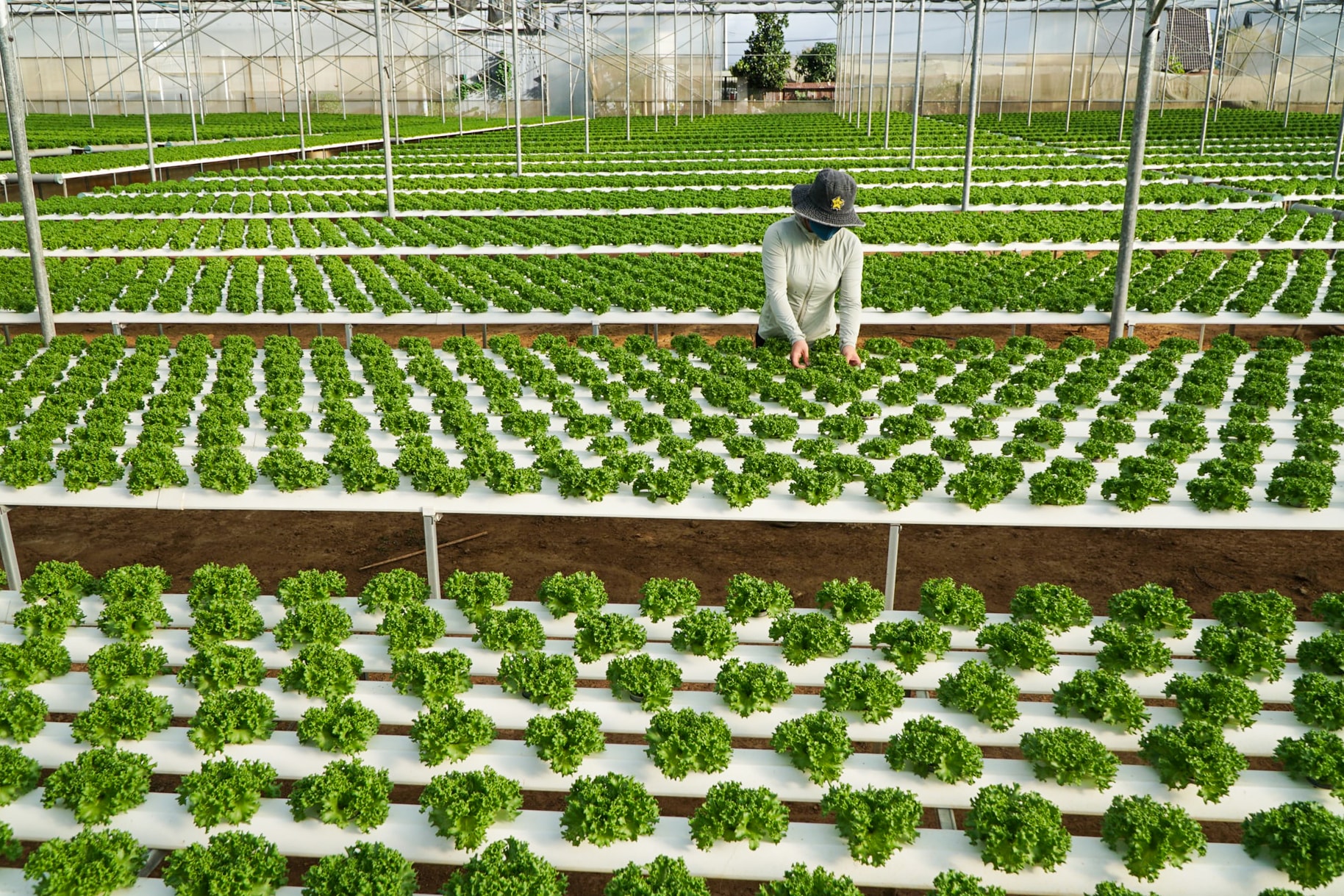 Lâm Đồng: Xã Ka Ðô tạo đột phá bằng nông nghiệp thông minh Lâm Đồng: Xã Ka Ðô tạo đột phá bằng nông nghiệp thông minh