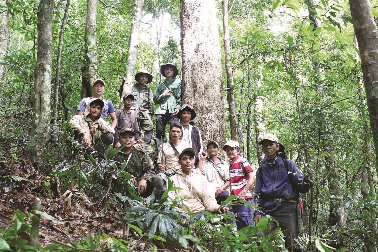 Gắn trách nhiệm, tạo sinh kế từ dịch vụ môi trường rừng