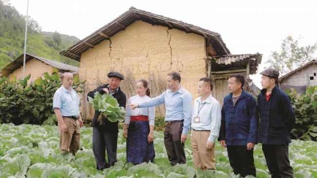 Khát vọng của cô gái dân tộc Cơ Lao