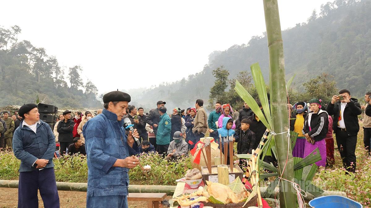 Tuyên Quang: Lễ hội hoa Tam giác mạch xã Yên Cường