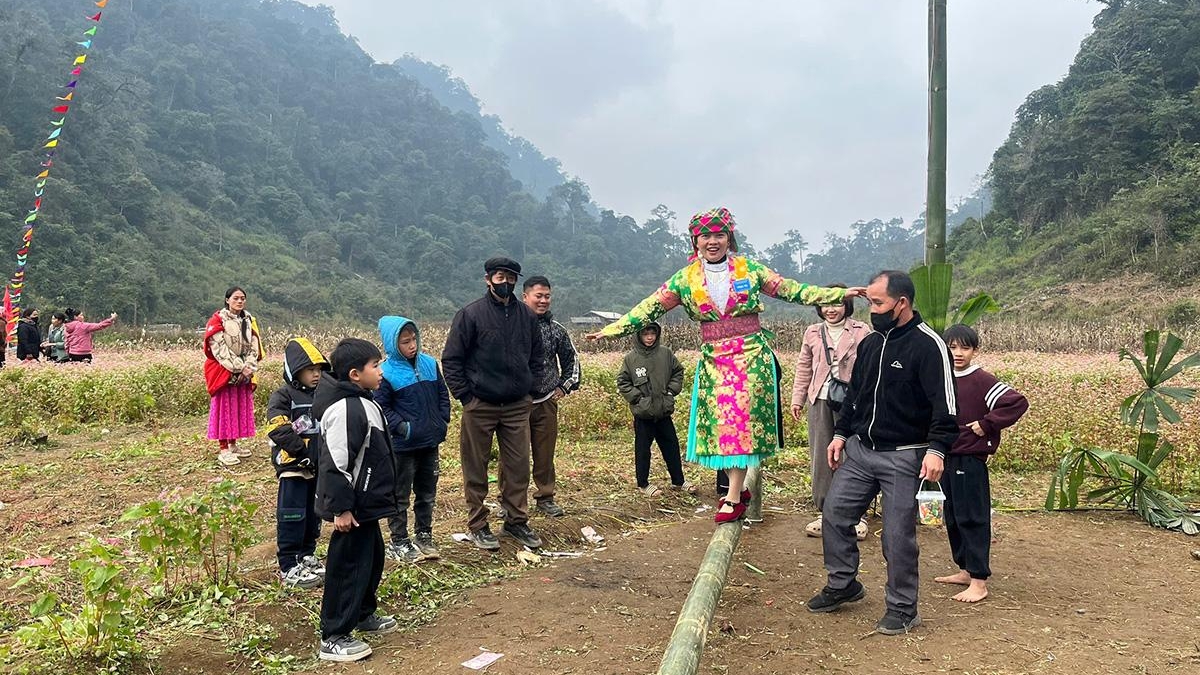 Tuyên Quang: Lễ hội hoa Tam giác mạch xã Yên Cường