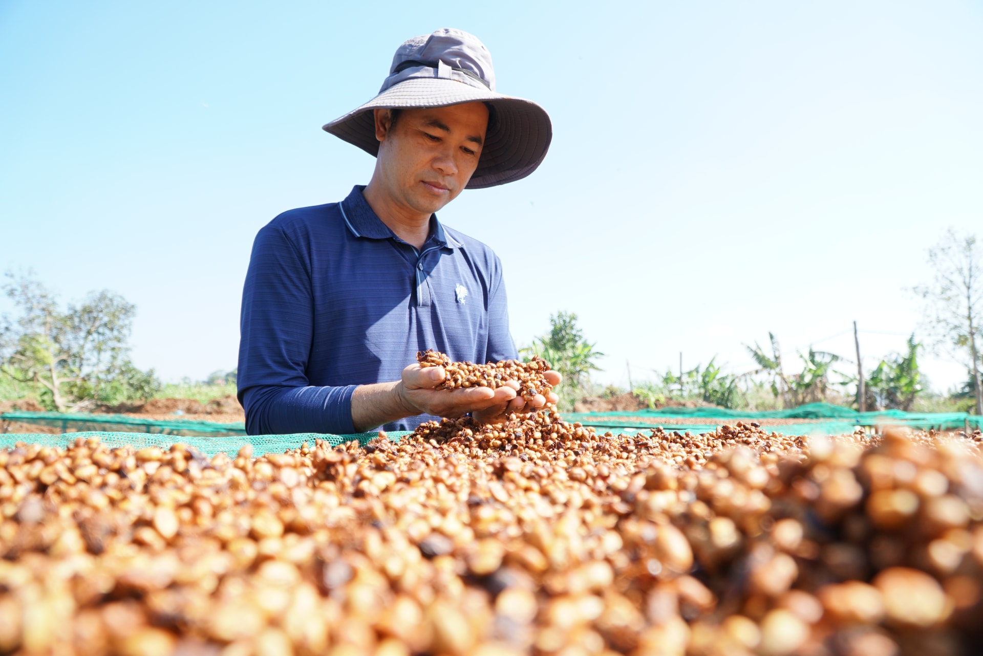 Đưa cà phê Lâm Đồng vào phân khúc cao cấp