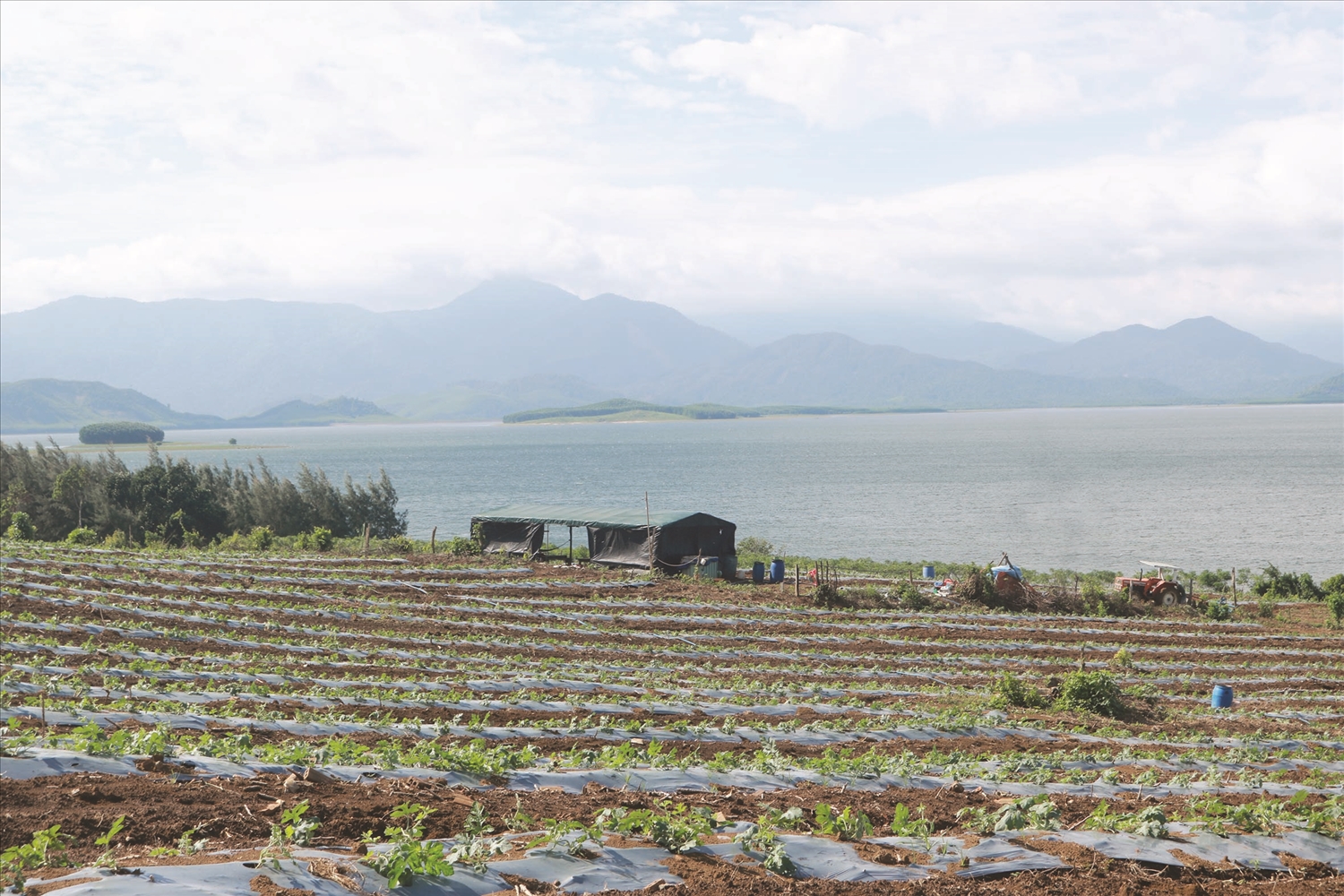Buôn Thung hôm nay