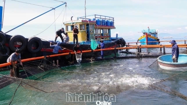 Khánh Hòa: Nhiều chính sách hỗ trợ nuôi biển xa bờ