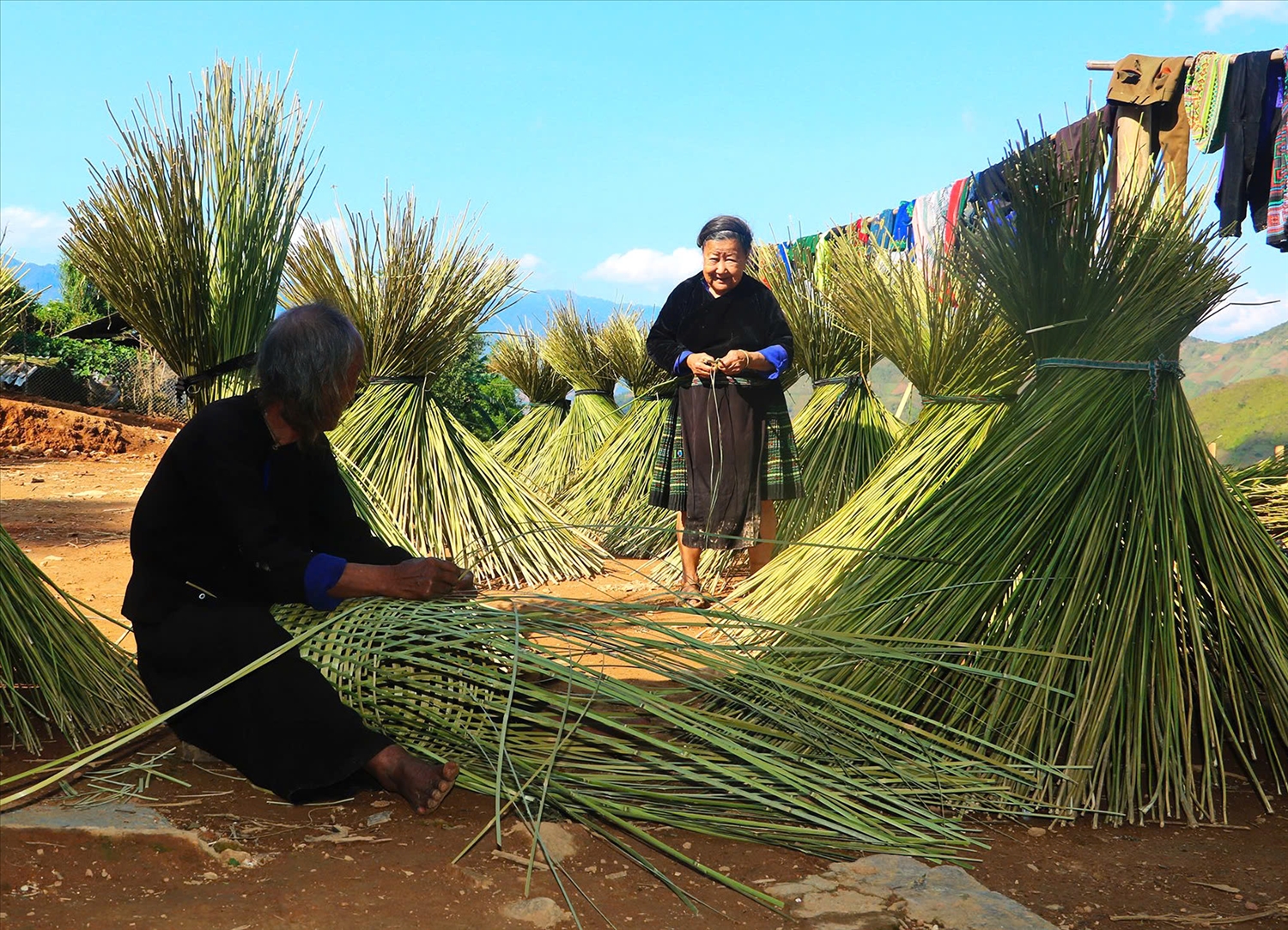 Sắc chàm trên miền di sản