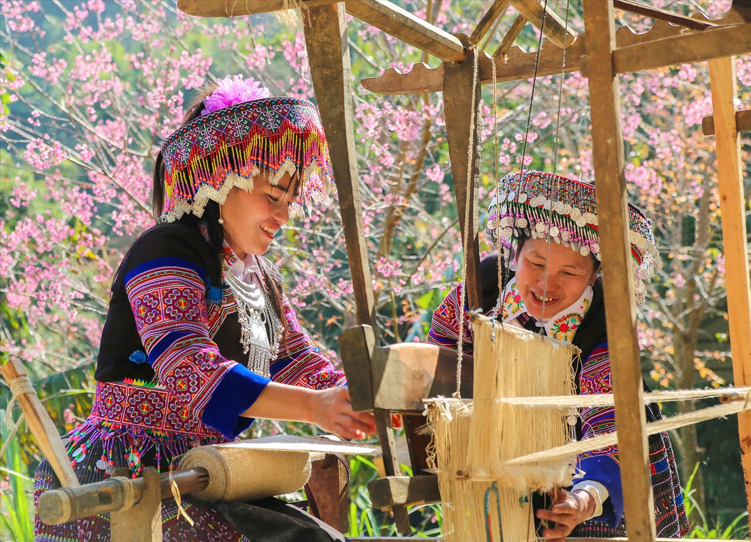 Sắc chàm trên miền di sản