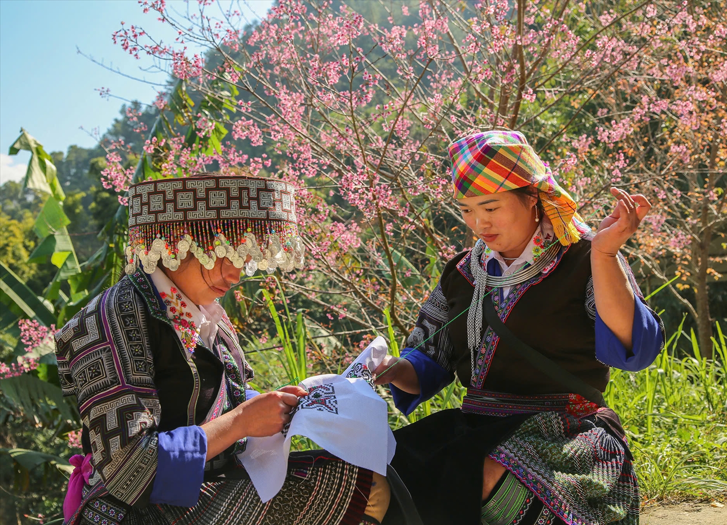 Sắc chàm trên miền di sản