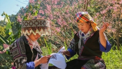 Sắc chàm trên miền di sản