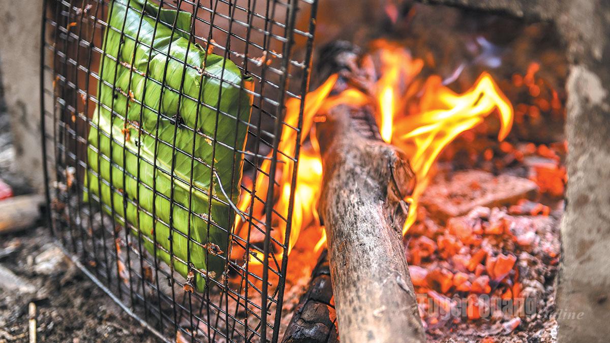 Tuyên Quang: Rêu đá