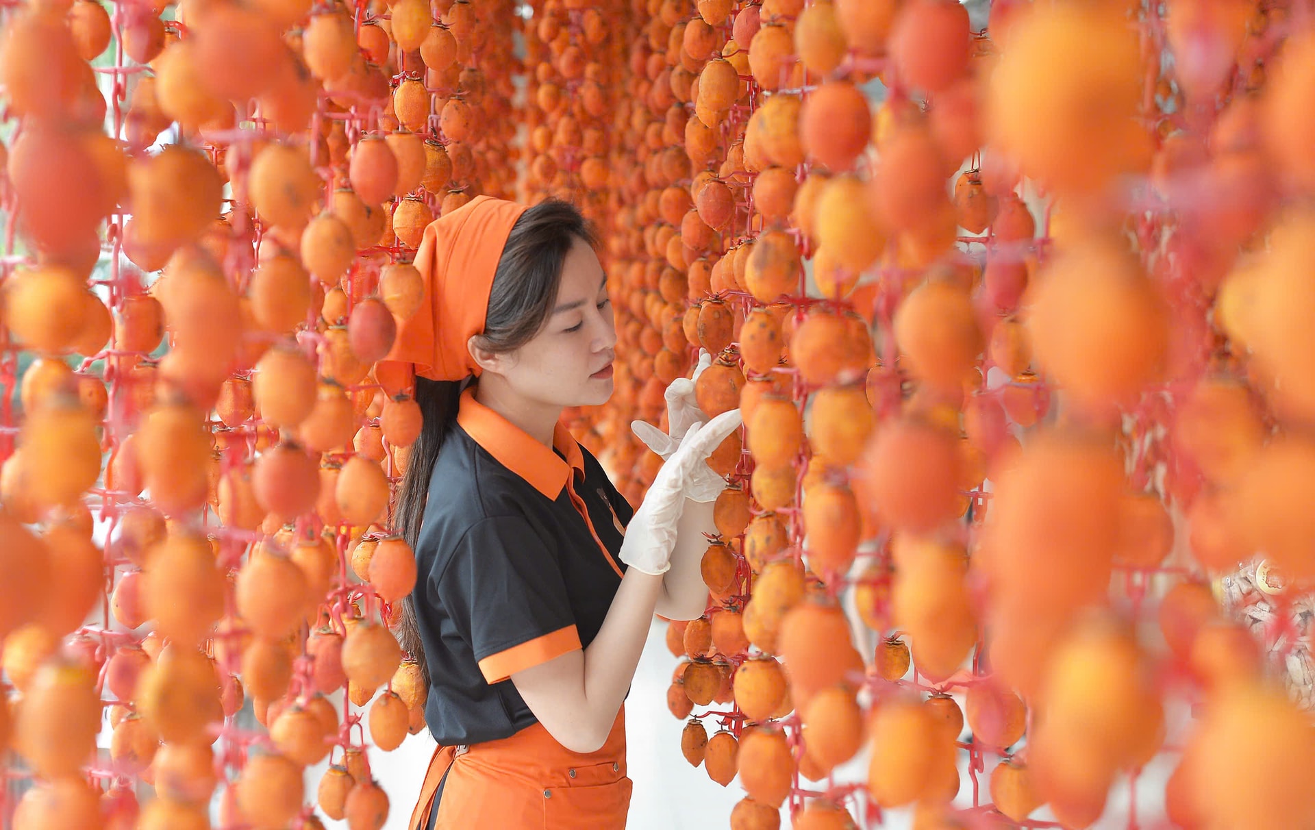 Lâm Đồng: “Chìa khóa vàng” mở cánh cửa phát triển kinh tế Lâm Đồng: “Chìa khóa vàng” mở cánh cửa phát triển kinh tế