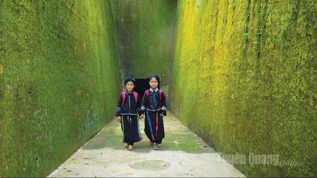 Tuyên Quang: Ký ức thiêng liêng dưới tán rừng Kim Quan