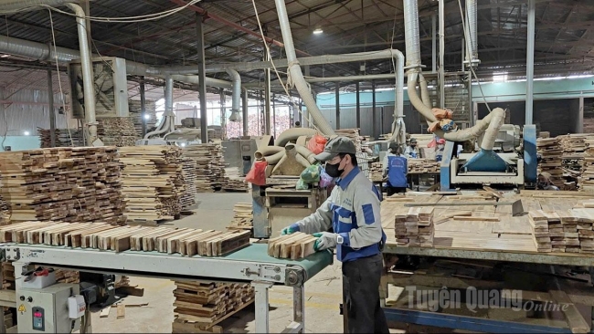 Tuyên Quang: Ứng dụng công nghệ trong sản xuất ván sàn