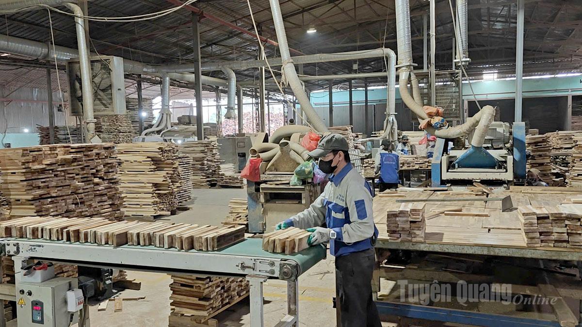 Tuyên Quang: Ứng dụng công nghệ trong sản xuất ván sàn