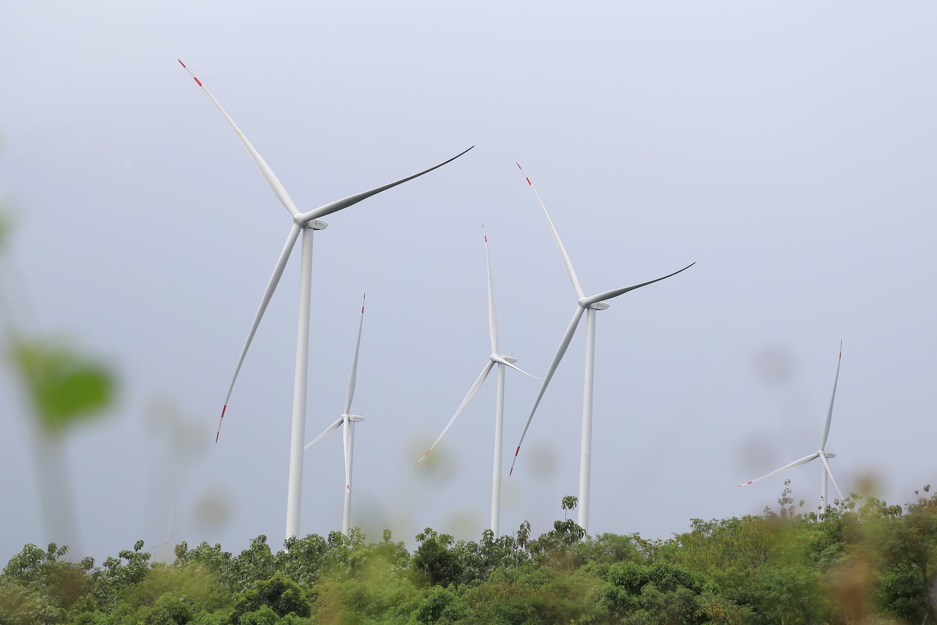 Lâm Đồng tìm giải pháp gỡ vướng cho dự án điện gió Lâm Đồng tìm giải pháp gỡ vướng cho dự án điện gió