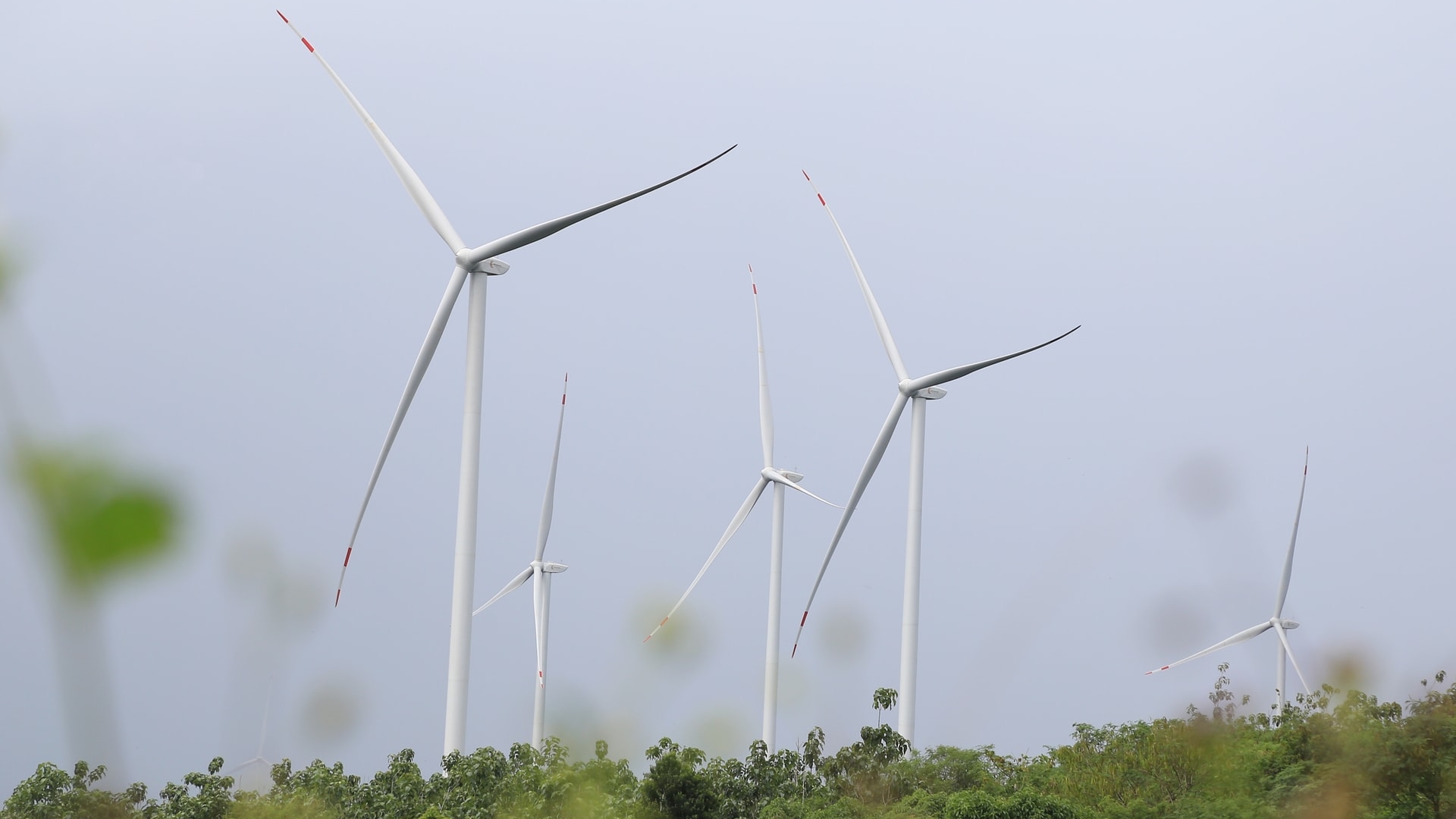 Lâm Đồng tìm giải pháp gỡ vướng cho dự án điện gió