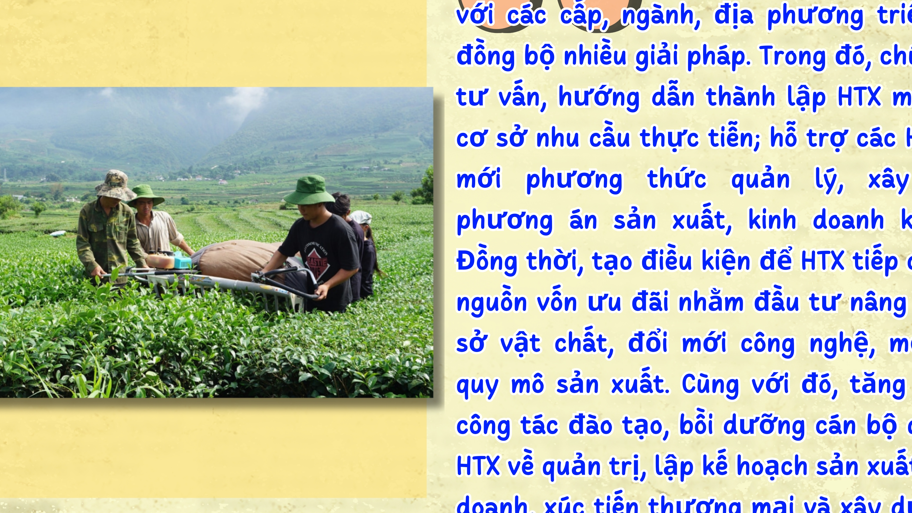 Lai Châu: Cầu nối sản xuất và thị trường, thúc đẩy tiêu thụ sản phẩm