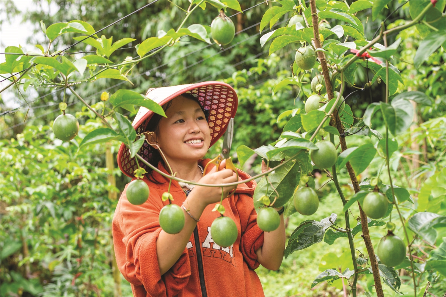 Nhiều mô hình “mở lối” sinh kế cho phụ nữ DTTS phát triển Nhiều mô hình “mở lối” sinh kế cho phụ nữ DTTS phát triển